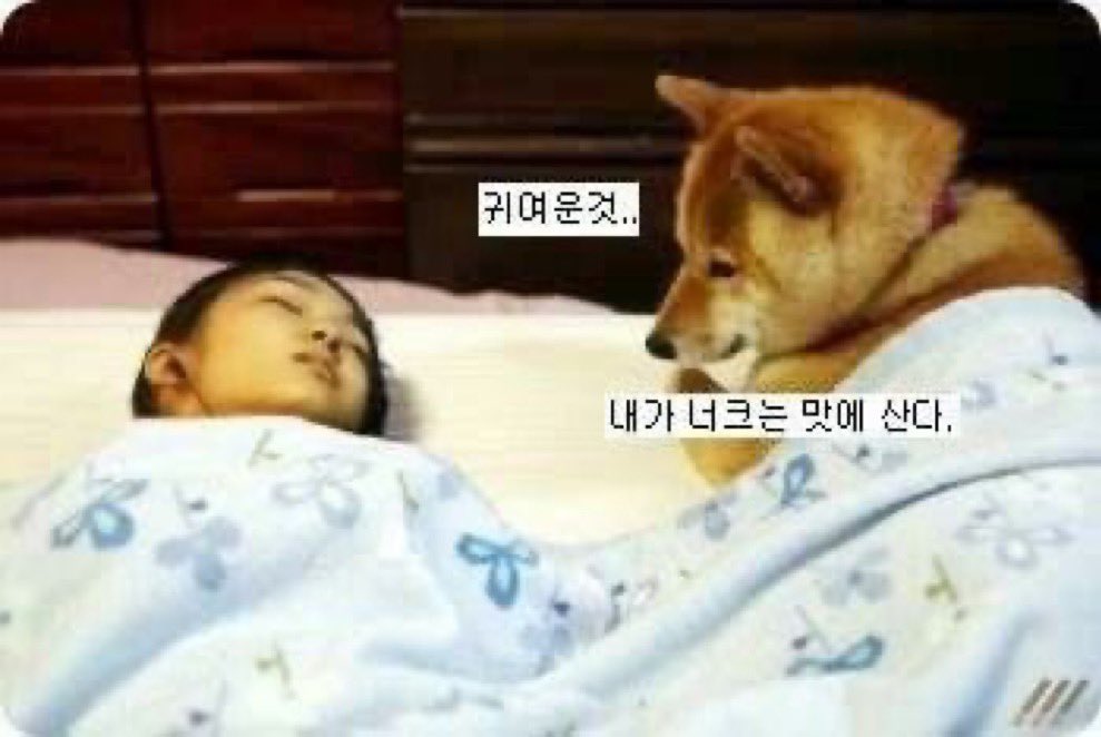 아 이 개옵 너무설레씹