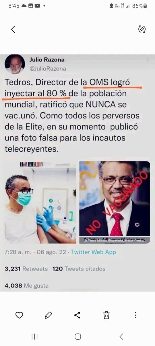 Nelly Alvarino tweet media