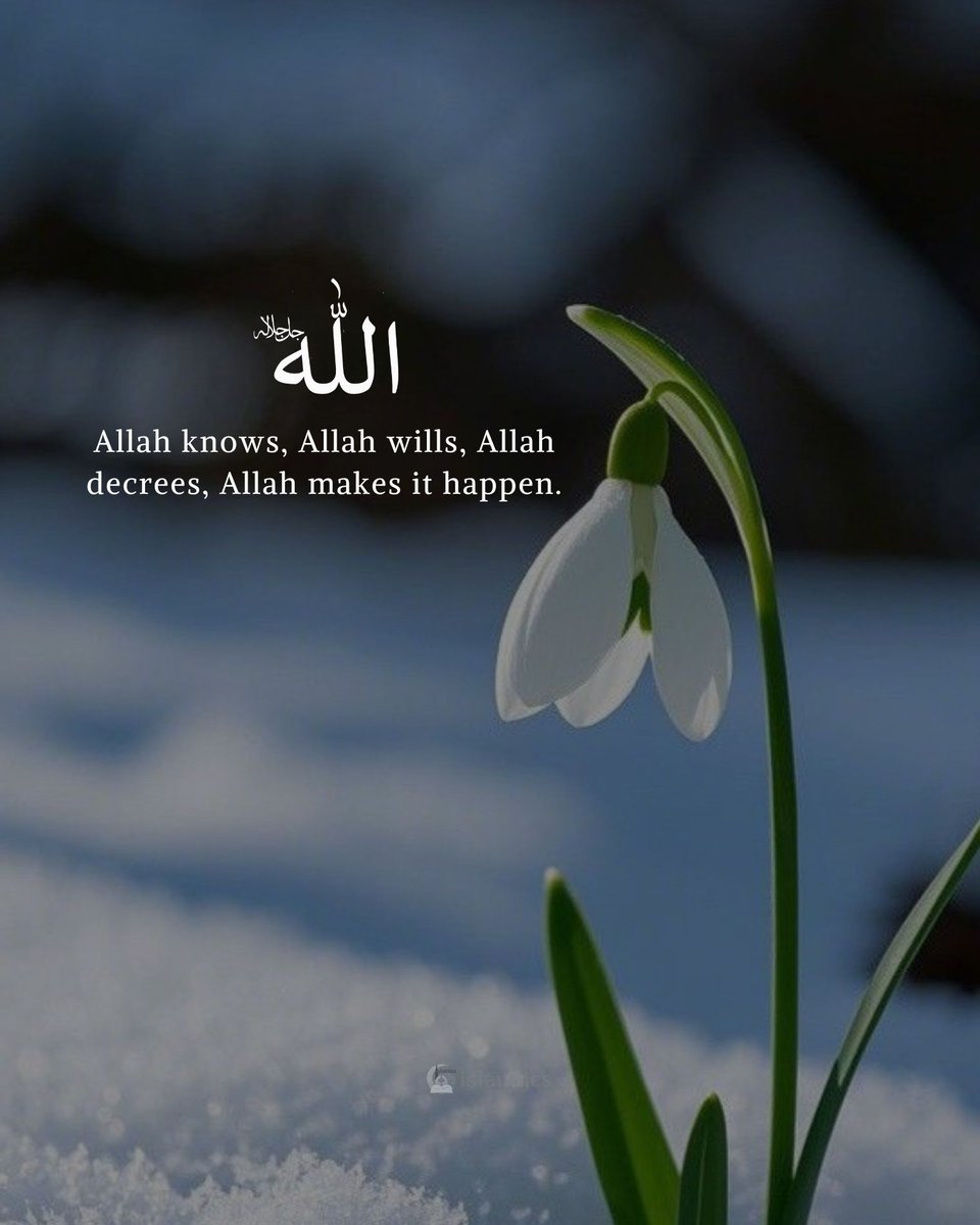 islamtics tweet media