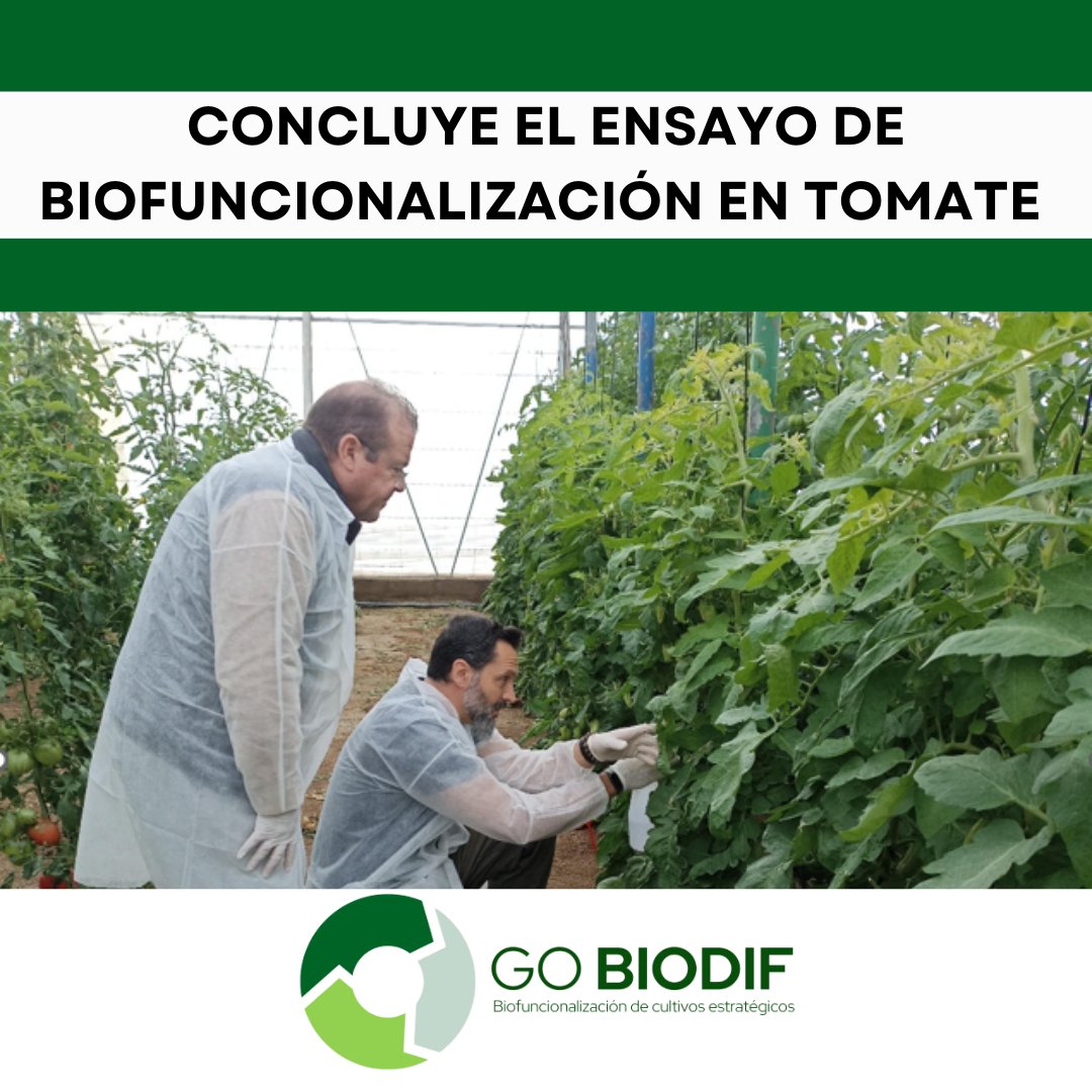 gobiodif tweet media