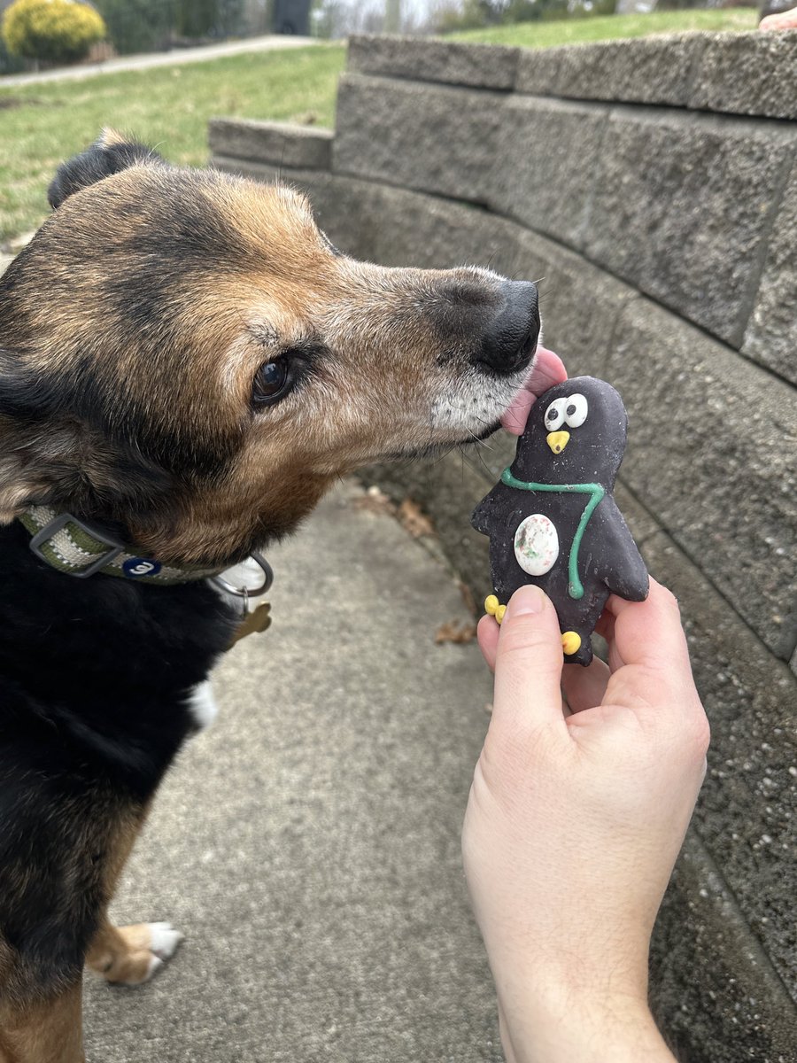 Daniel Parmley tweet media