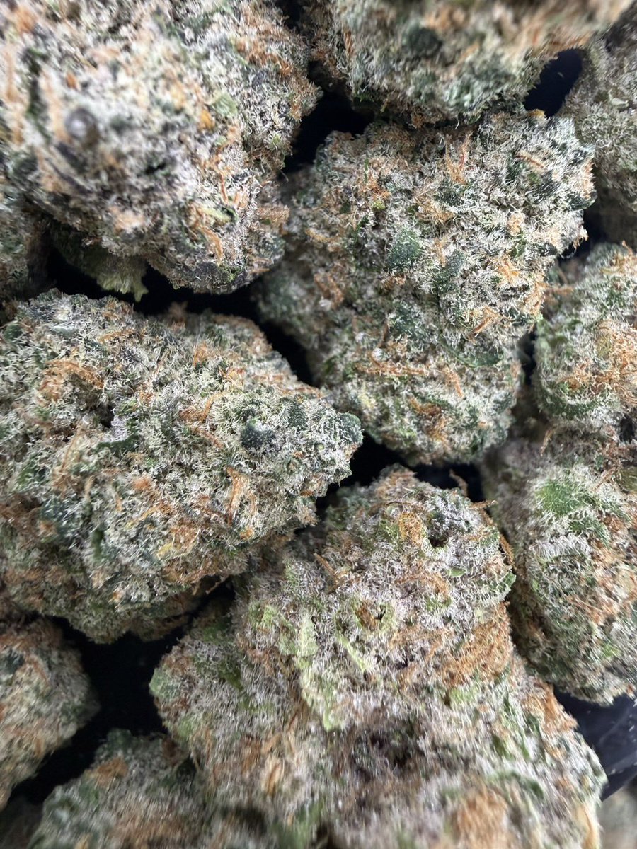 HippieVibe999's tweet photo. Super Boof Cherry 🍒🚀
Indica 60% Sativa 40%
THC ≈ 28%
Flavors : 🍒 Cherry · 🍊 Citrus · 🍬 Sweet · ⛽ Light Gas
Contact Line➡️ https://t.co/lCmrEBHqs5
#กัญชา #weed #กัญชากรุงเทพ #OG #สายเขียว #cannabis #กัญชาส่งGrab https://t.co/cgAX4RGNii