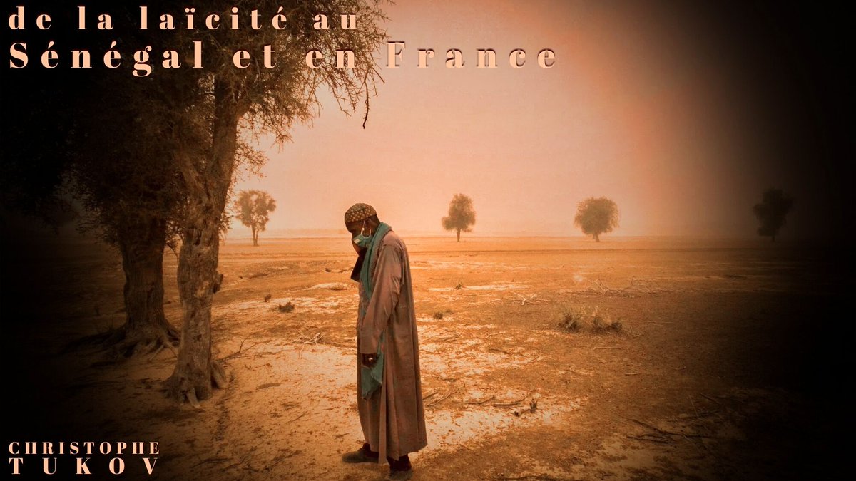 Philosophy World Democracy tweet media