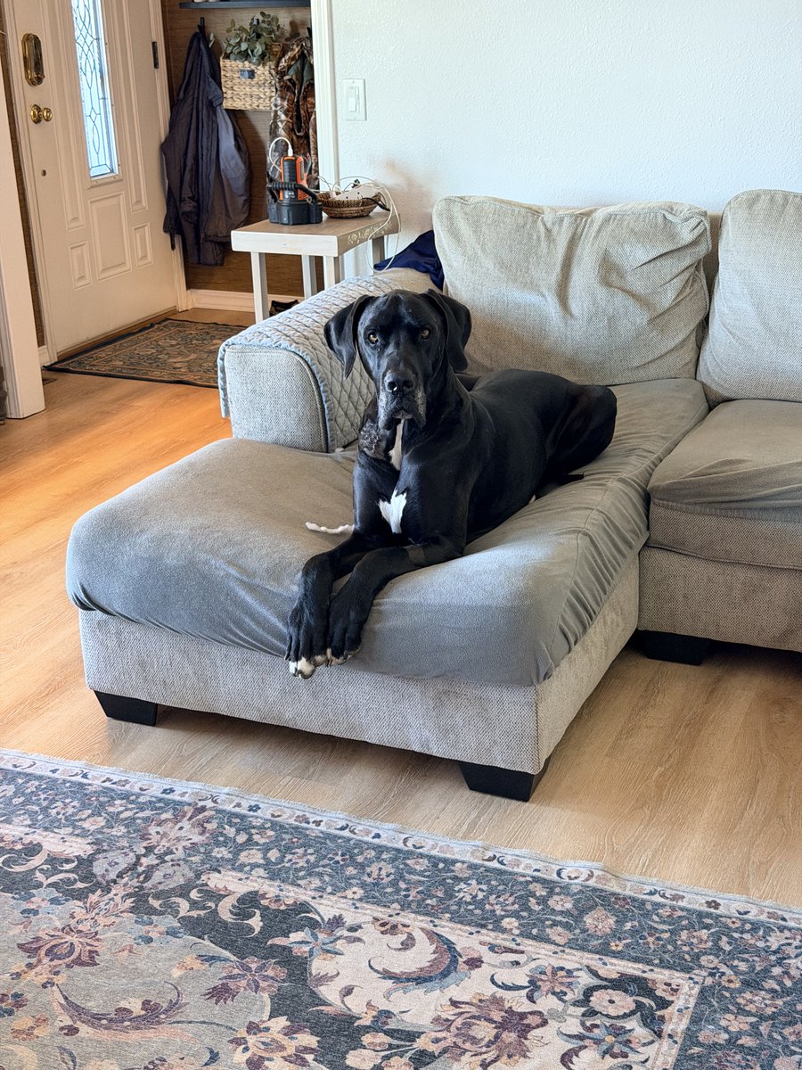 Marcus Sewell tweet media