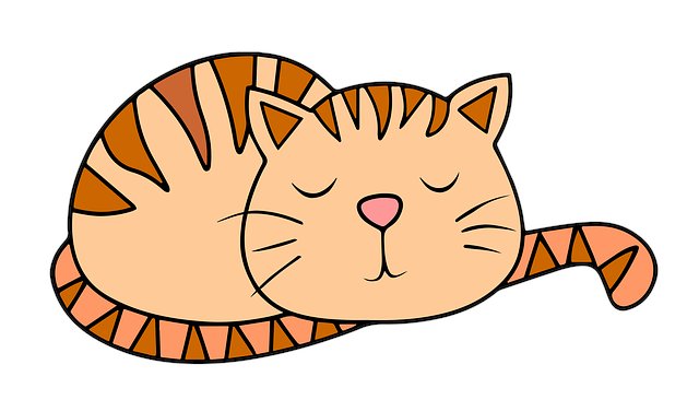 Sarah Harmon tweet media