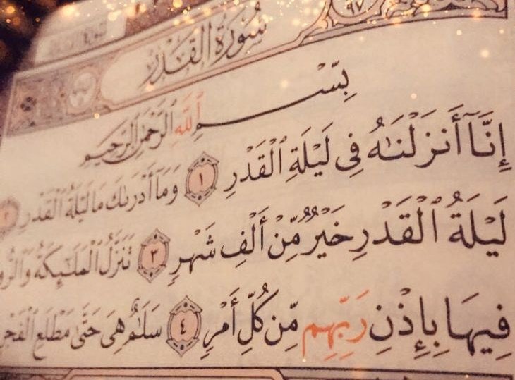 کونین نقوی tweet media