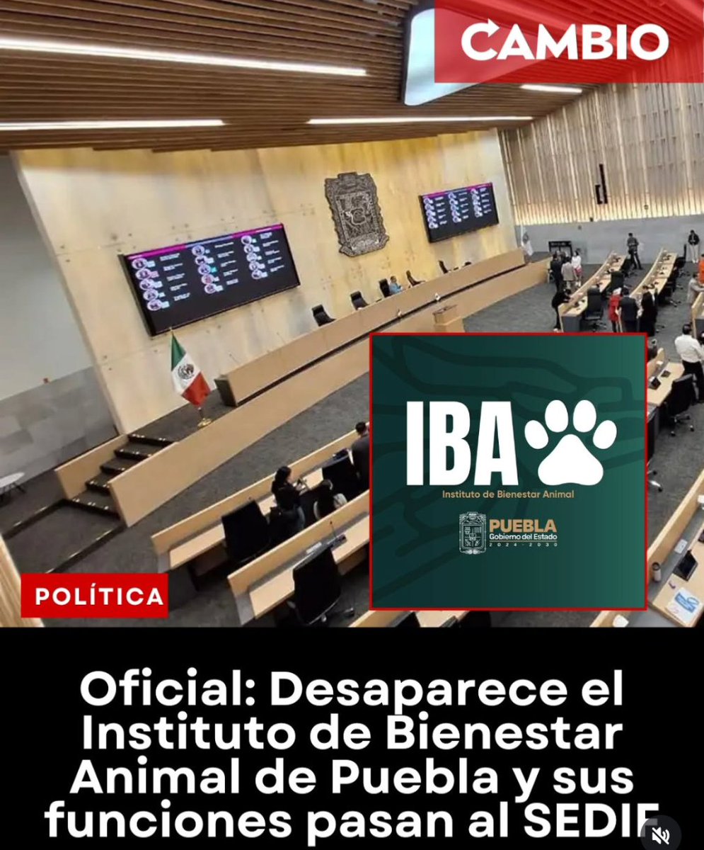 Kay Mastretta tweet media