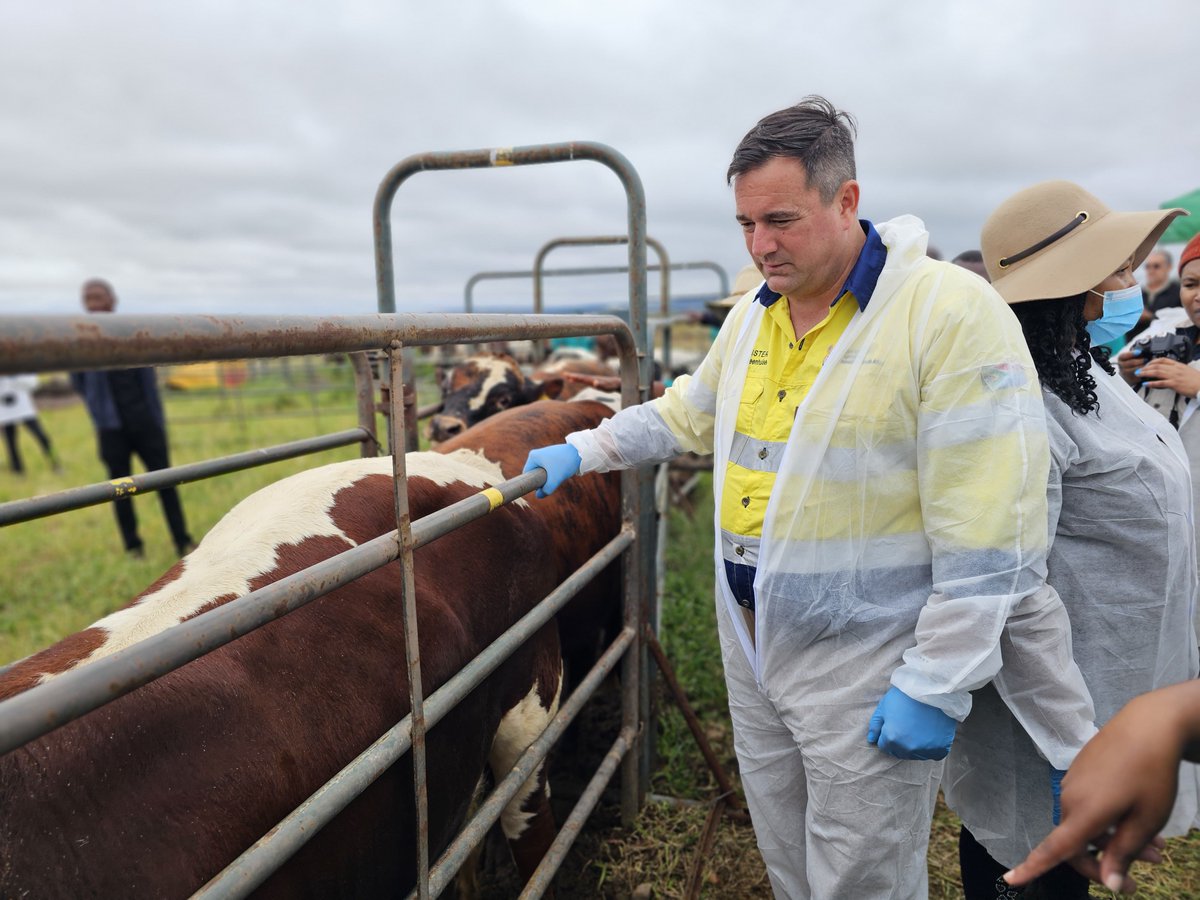 Democratic Alliance tweet media