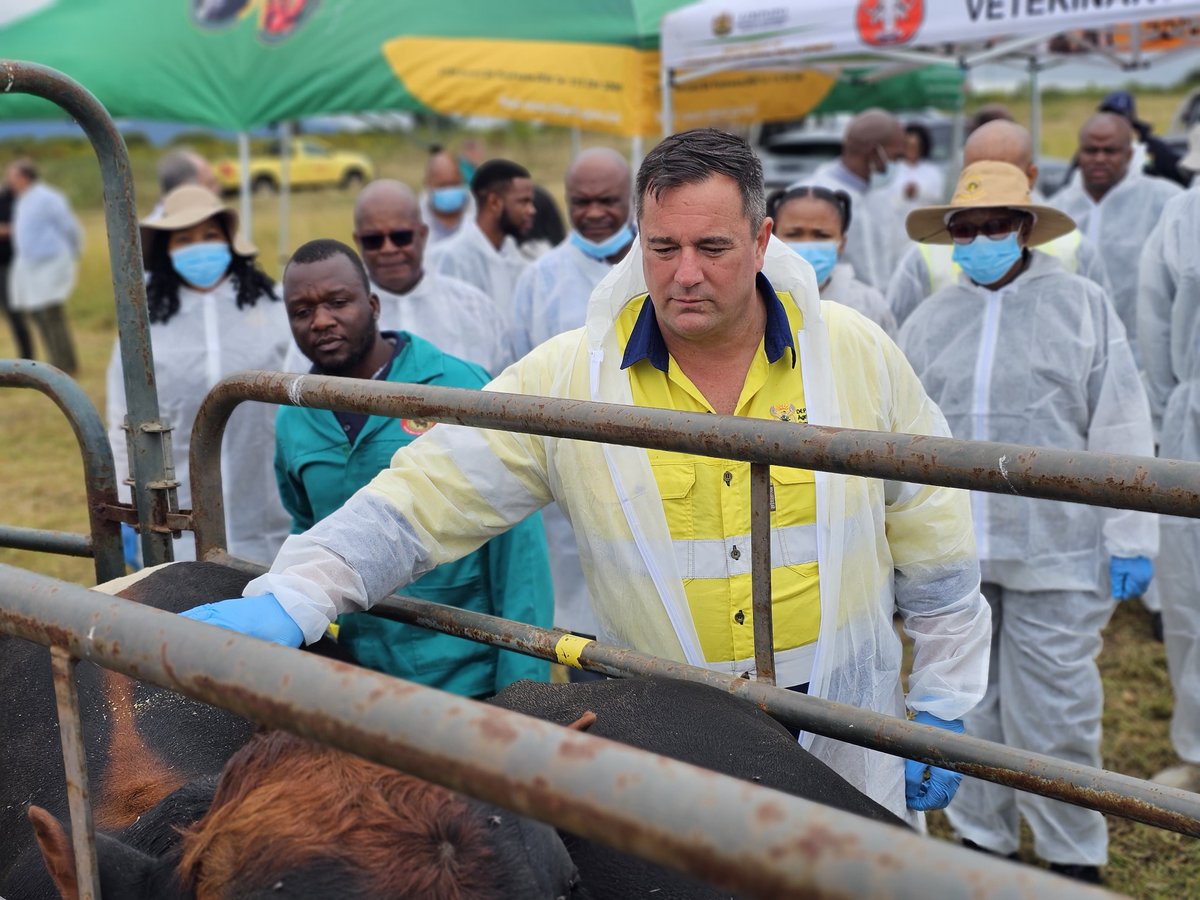 Democratic Alliance tweet media