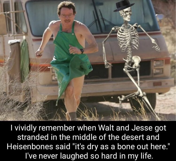 Skeletons posting (@skeletonposts) on Twitter photo 