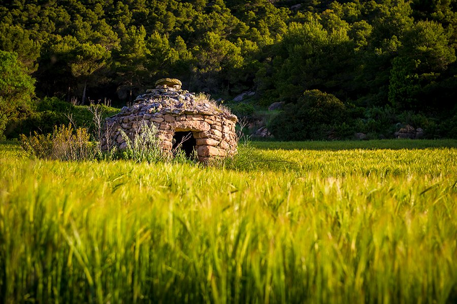 Geoparc Catalunya Central tweet media