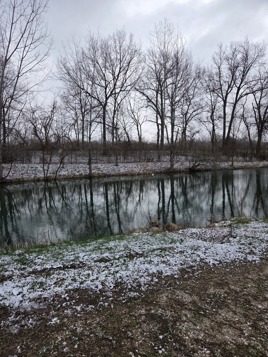 IronMyra tweet media