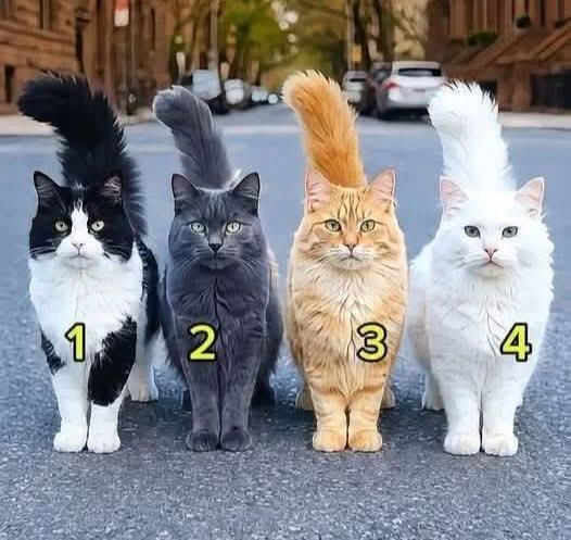 🦔𝔽𝕦𝕤𝕔𝕠𝕄𝕒𝕣𝕚𝕟𝕒®️ ♥️🪷 tweet media