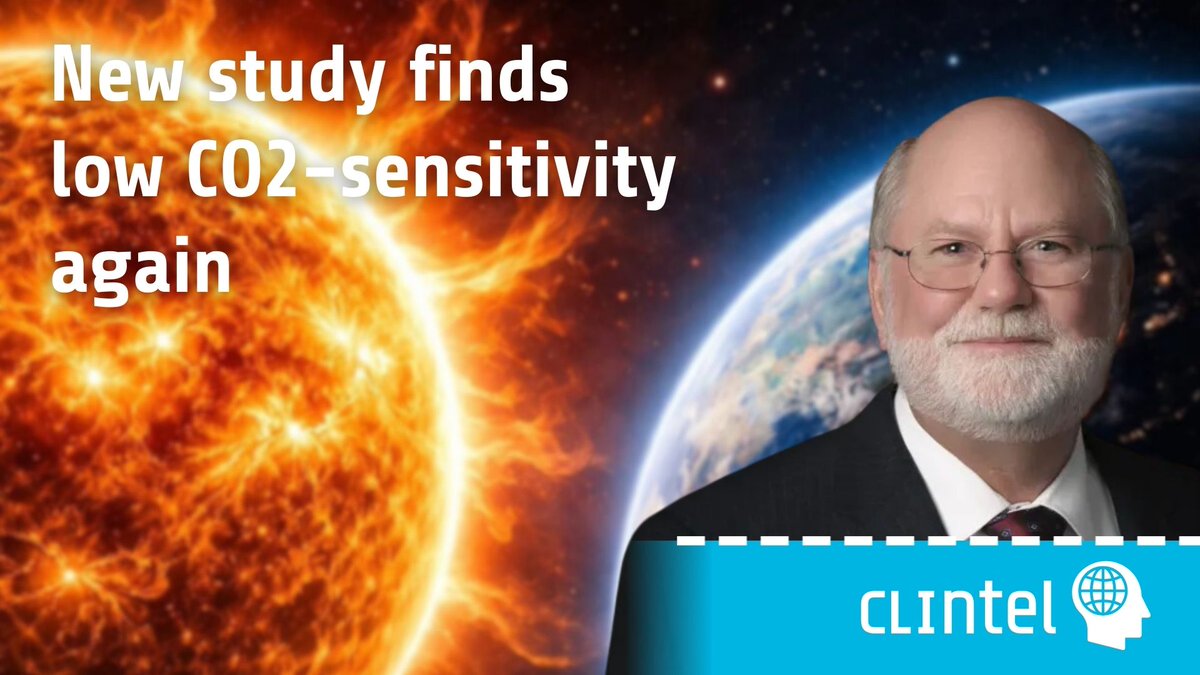 CLINTEL.ORG tweet media