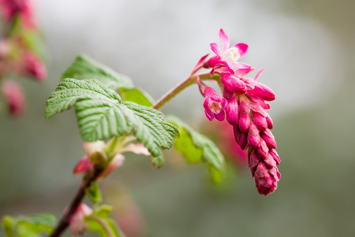 Gordon England tweet media