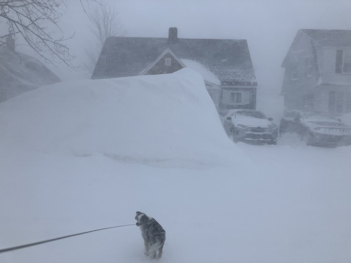 Reed Timmer, PhD tweet media