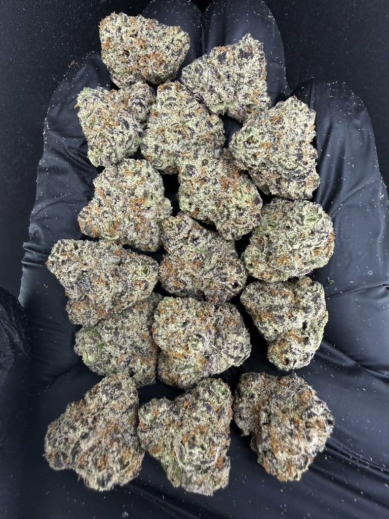 HBud555991's tweet photo. Cream N Cake 🧁🧈
Indica 60% Sativa 40%
THC ≈ 27%
Flavors : 🧈 Creamy · 🍰 Cake · 🍬 Sweet · 🌿 Herbal
Contact Line➡️ https://t.co/eW6KRyECbA
#กัญชา #weed #กัญชากรุงเทพ #OG #สายเขียว #cannabis #กัญชาส่งGrab https://t.co/rVPkFdeHb8