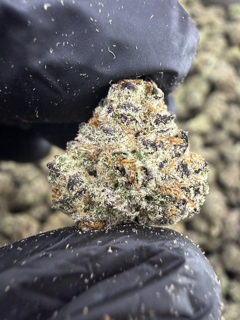 HBud555991's tweet photo. Cream N Cake 🧁🧈
Indica 60% Sativa 40%
THC ≈ 27%
Flavors : 🧈 Creamy · 🍰 Cake · 🍬 Sweet · 🌿 Herbal
Contact Line➡️ https://t.co/eW6KRyECbA
#กัญชา #weed #กัญชากรุงเทพ #OG #สายเขียว #cannabis #กัญชาส่งGrab https://t.co/rVPkFdeHb8