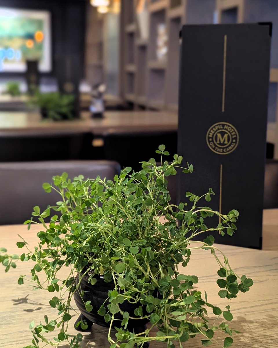 Mespil Hotel tweet media