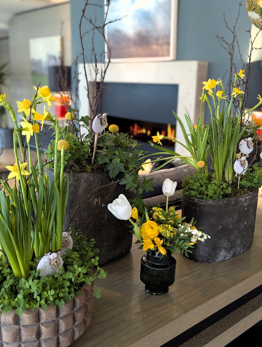 Mespil Hotel tweet media