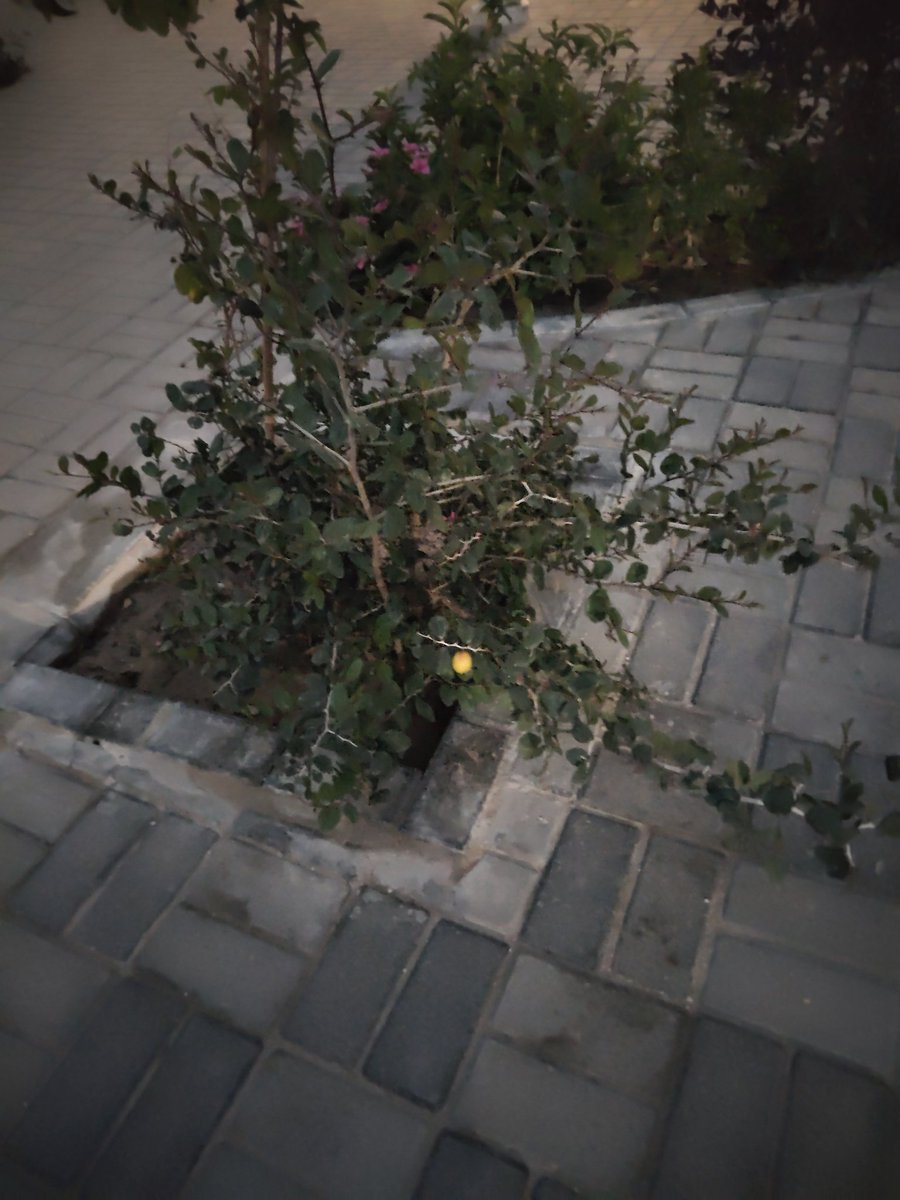 يأتيك اليُسر عندما تشعر أنك على شفا حفرة من السقوط، ويشق أمامك أبواب النجاة في لحظة غير متوقعة.