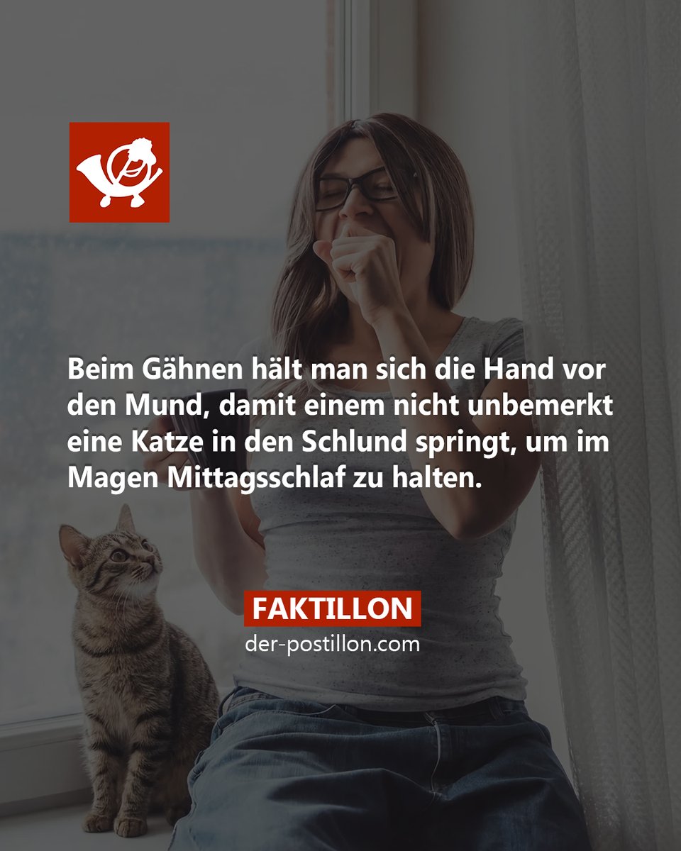 Faktillon 📯 tweet media