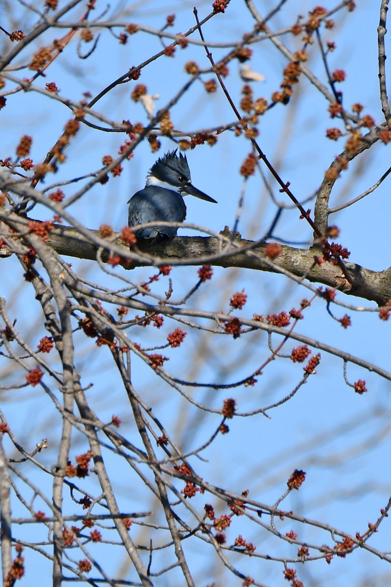 Today In Nature tweet media