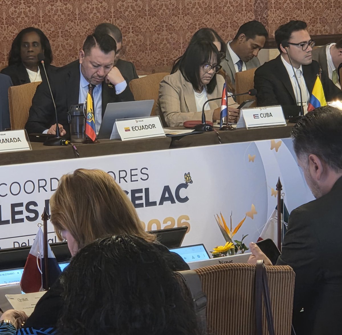 Anayansi Rodríguez Camejo tweet media