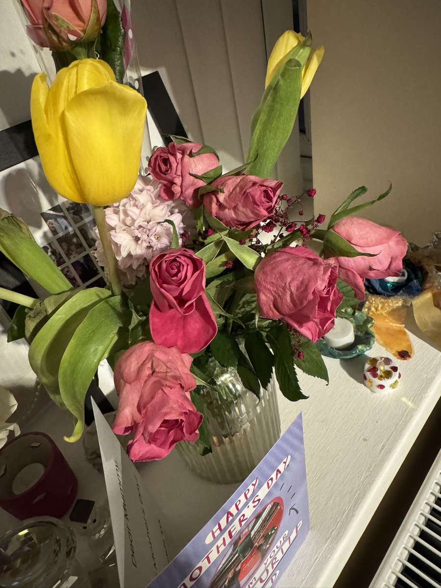 Michelle Lynch tweet media