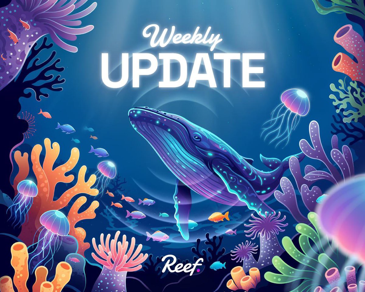 🐠 Reef tweet media