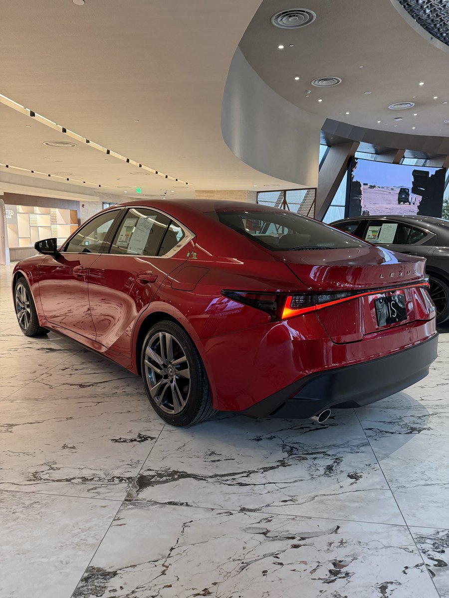 اوتو كاتش مع م. هاني داغستاني tweet media