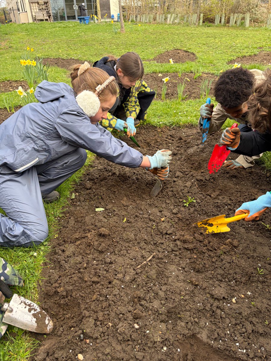 HurstParkSchool's tweet image. 📷A fantastic day of outdoor learning! From mastering whittling with potato peelers to make allotment plant markers, to climbing trees and testing our balance 📷. We even squeezed in some planting! #ForestSchool #OutdoorLearning #Year4 #NaturePlay @LEOforestschool @LEOacademies