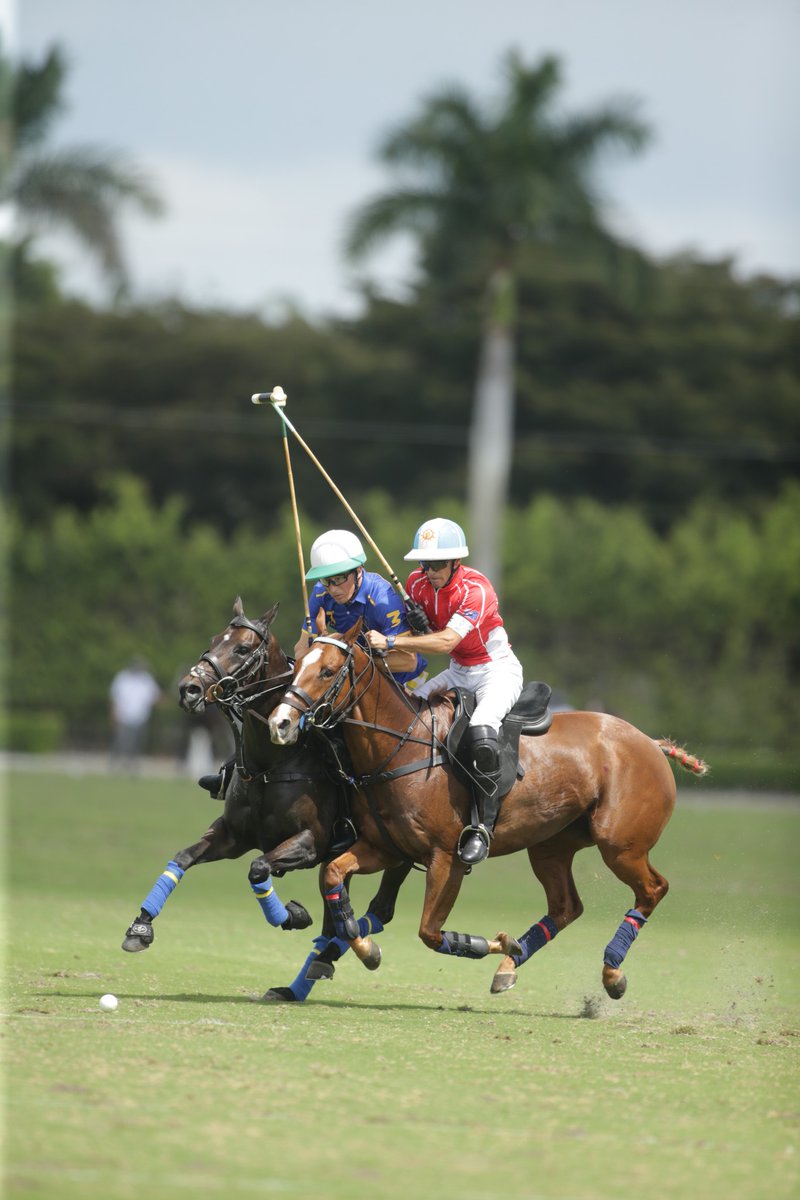Polo Times tweet media