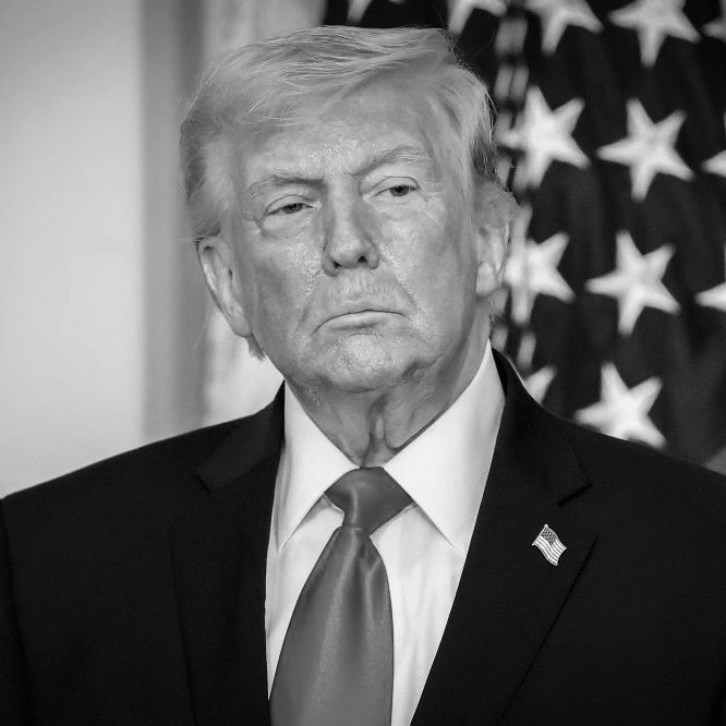 La Maison Presse tweet media