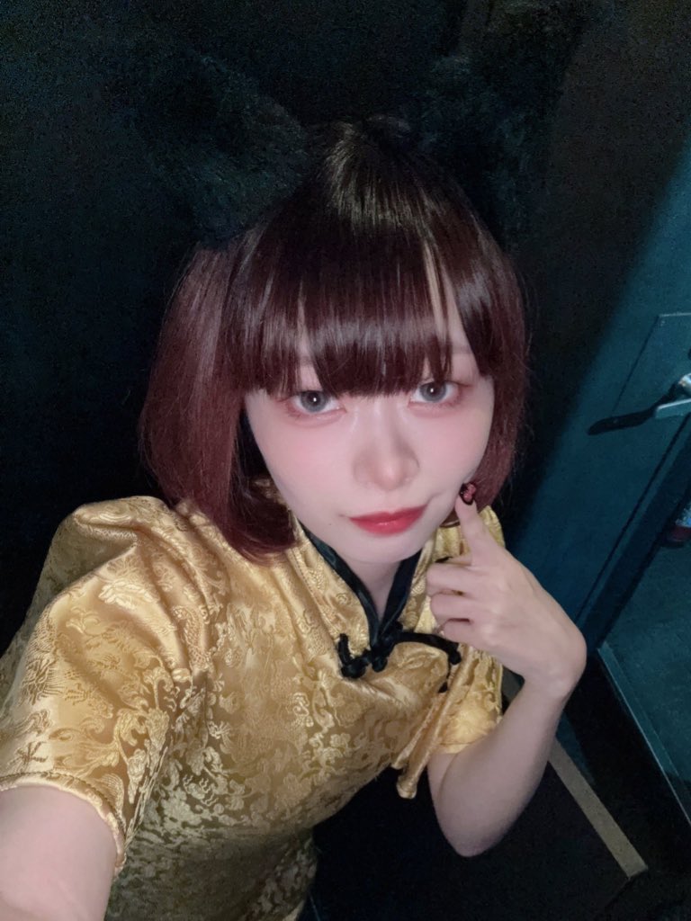 チャイニャコンカフェ桃猫堂恵比寿店 🐱コンカフェ最大手✨ tweet media