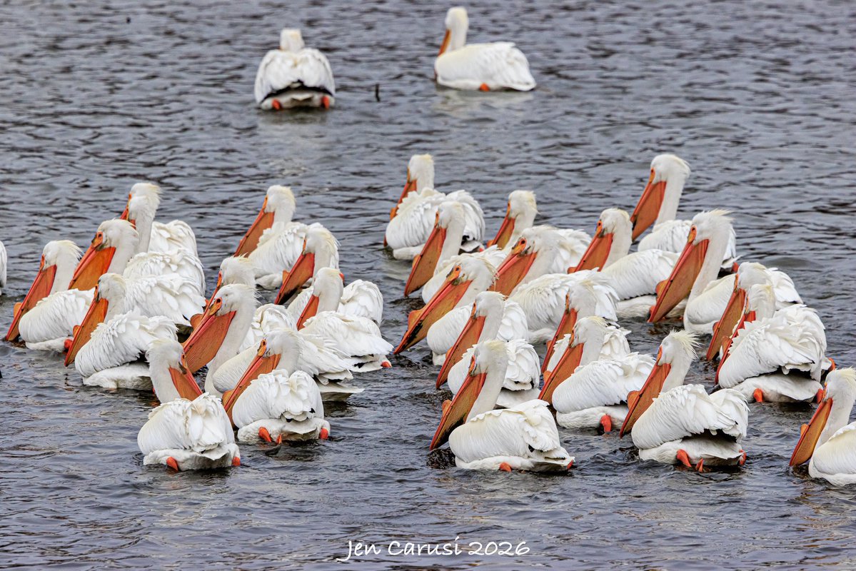 Today In Nature tweet media