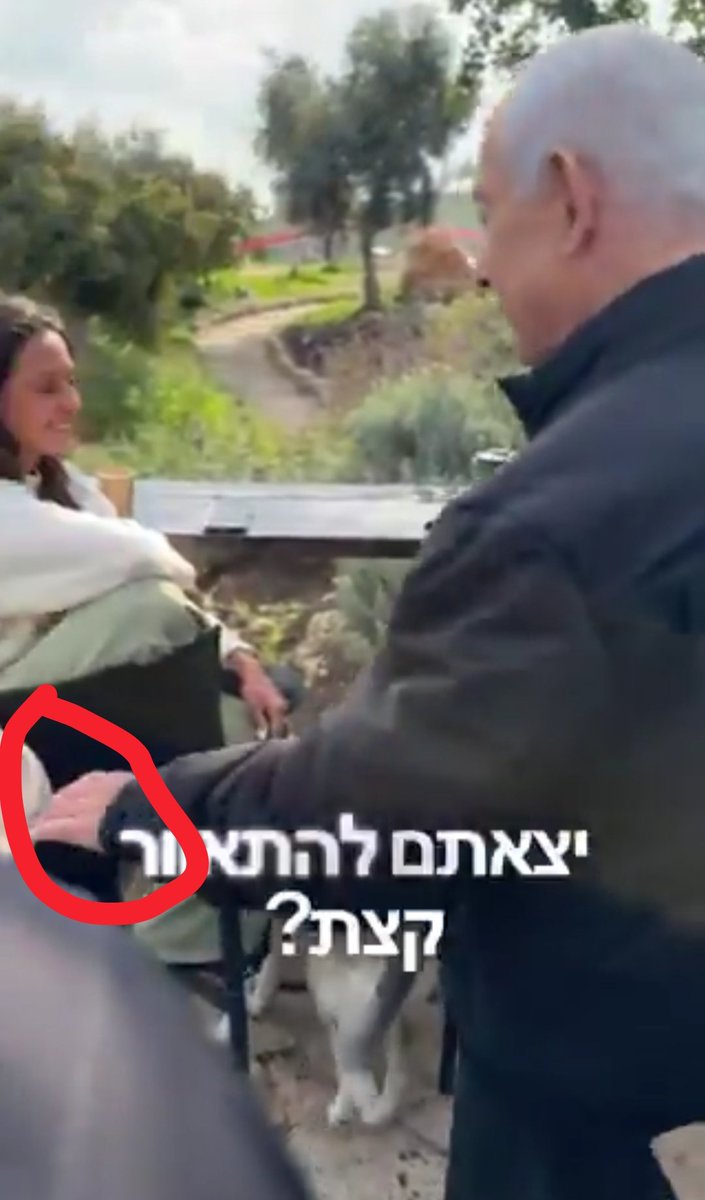 Optimusx tweet media