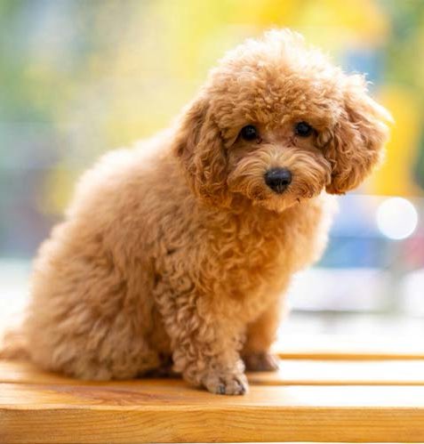 Rokko🇯🇵🌐💻 ✈︎ tweet media