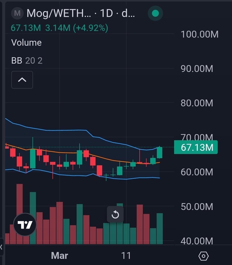 m0rt 🇺🇸 tweet media