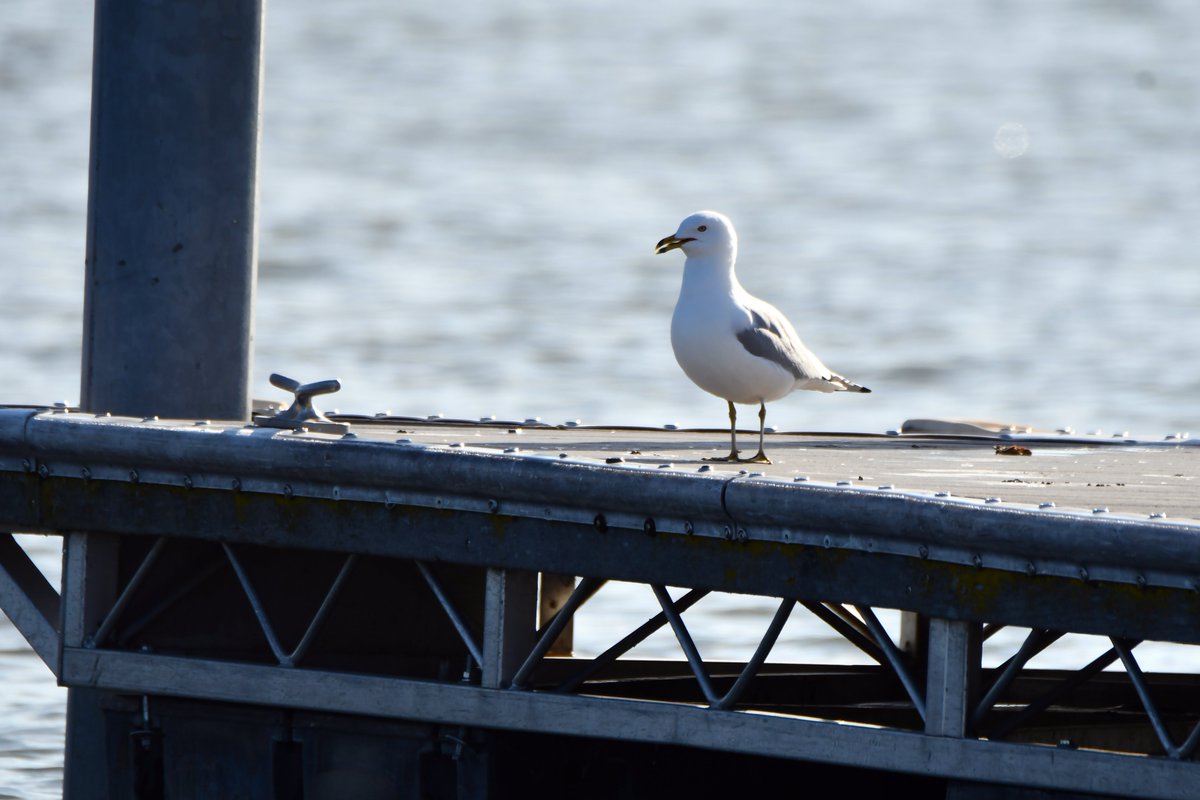 Today In Nature tweet media