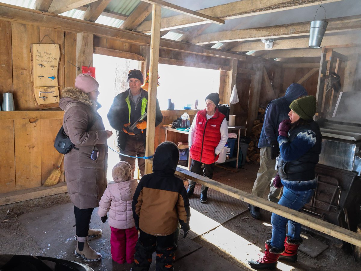 Hamilton CA tweet media