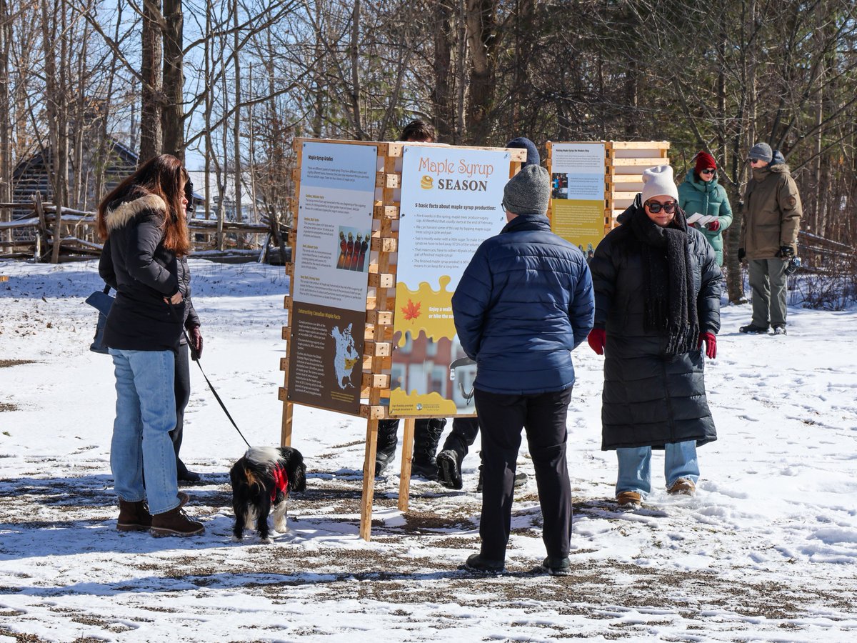 Hamilton CA tweet media