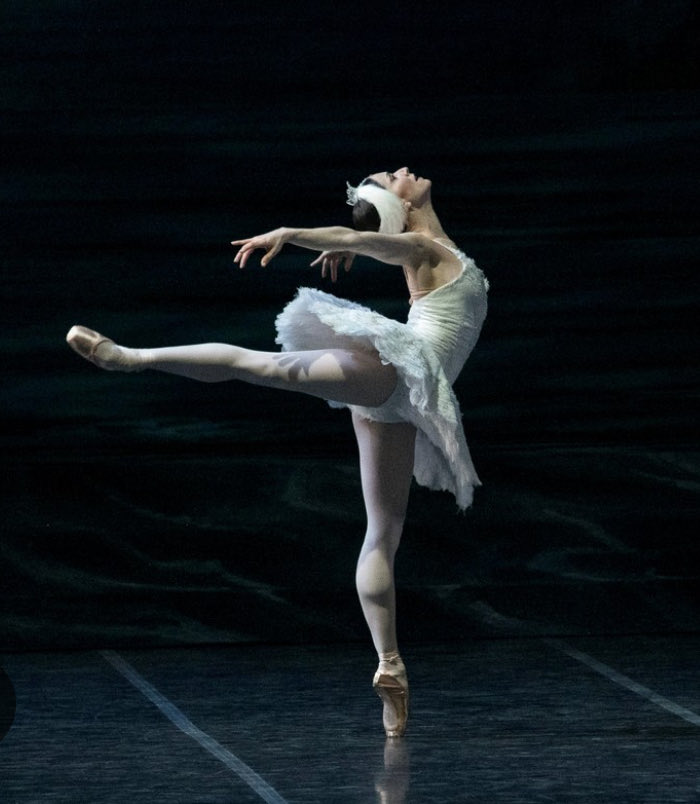 Lorena Maciel tweet media