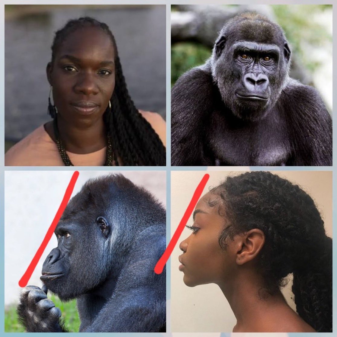 DoctorRommelhhxx tweet media