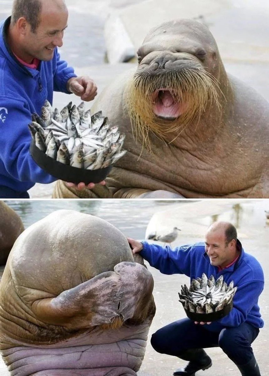 World Uncovered tweet media