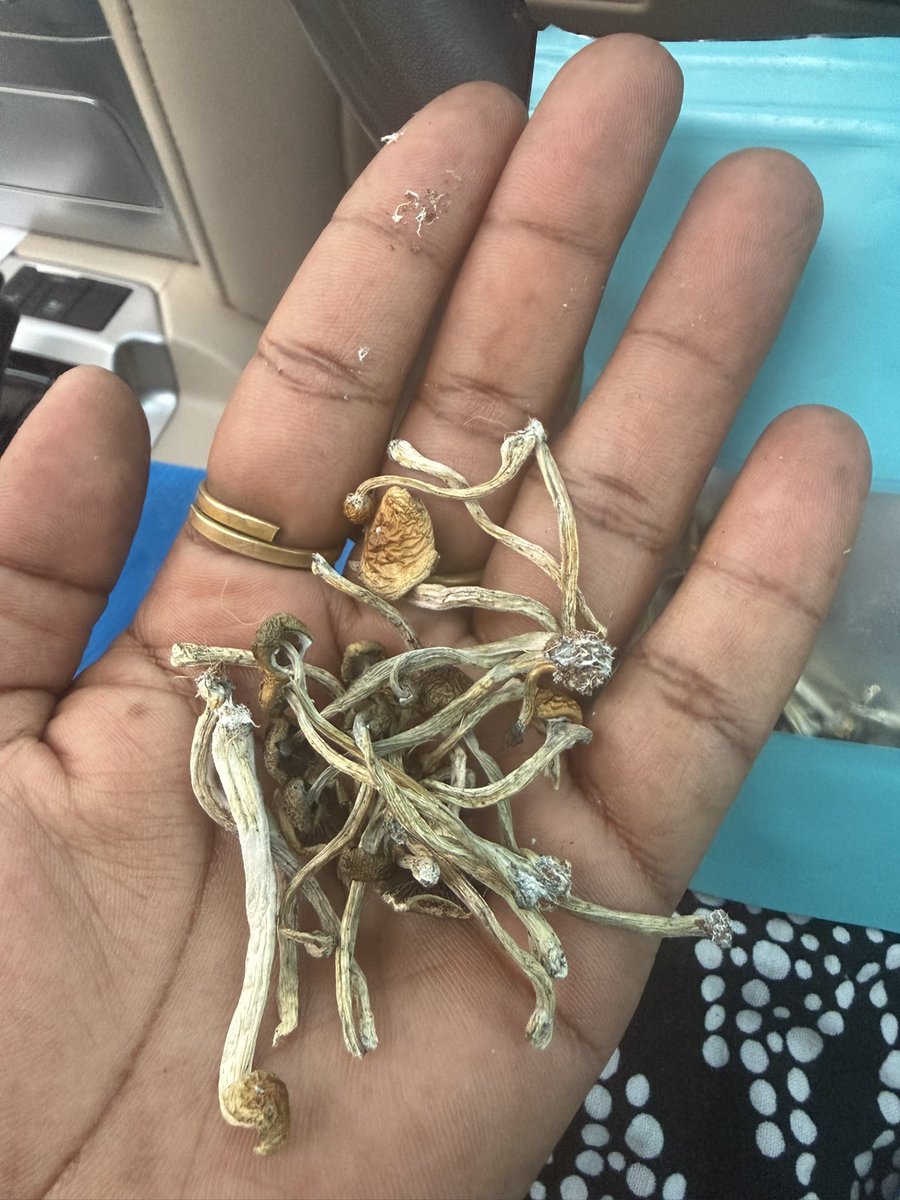 Somoina Kapeen tweet media