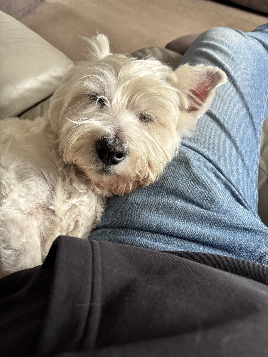 Simon Johnson tweet media