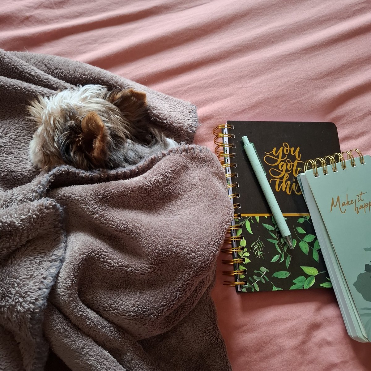 🍂🐌🌲Linzi~Ellen📚🌿🐛 tweet media