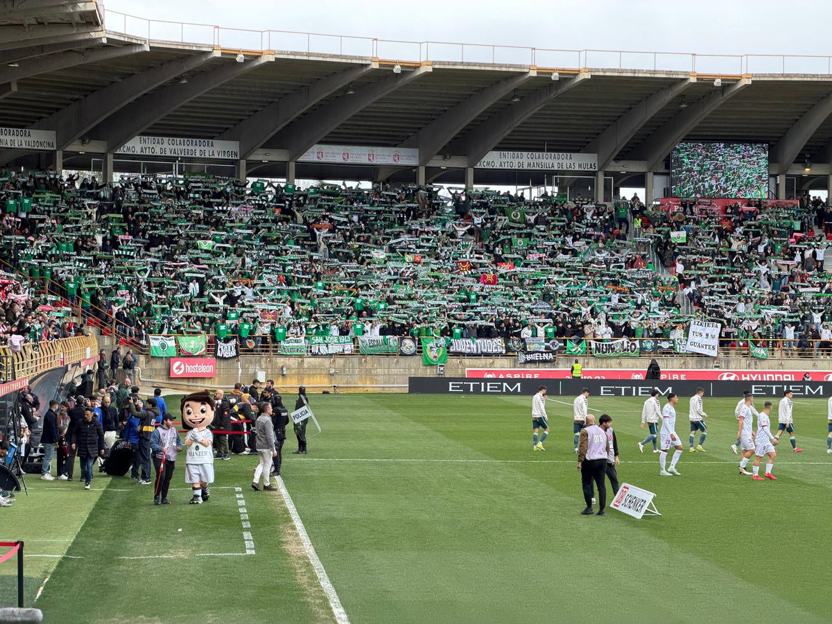 David💢 tweet media