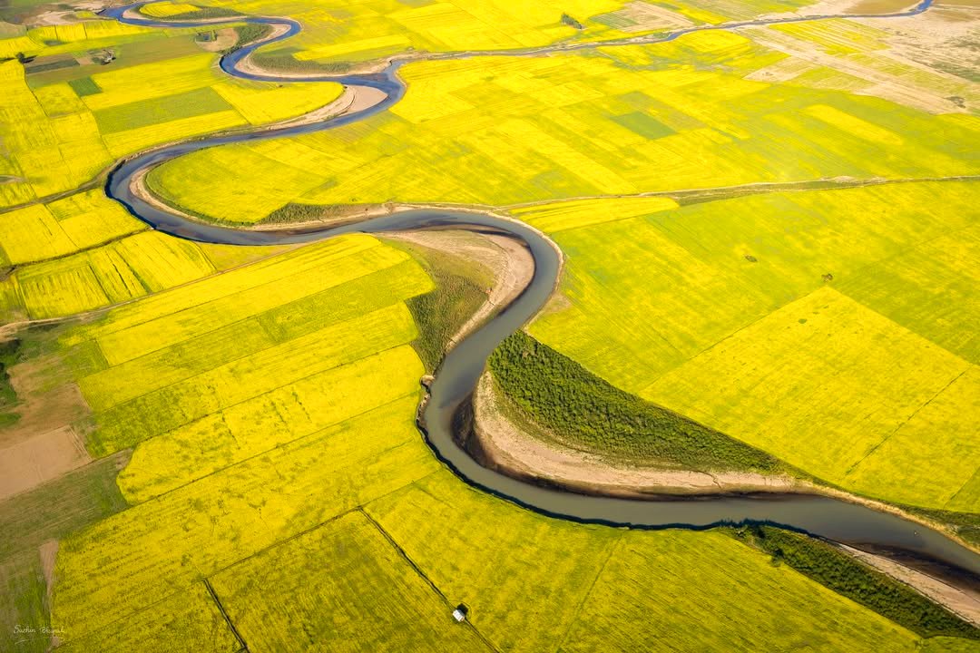 India Aesthetica tweet media